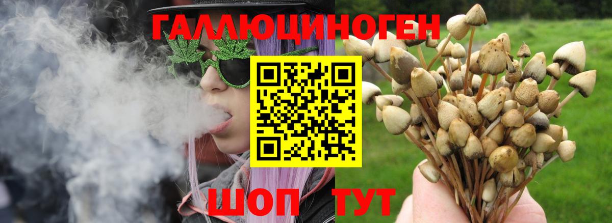 Шали  Псилоцибиновые грибы прущие грибы  цена   Вход с VPN 