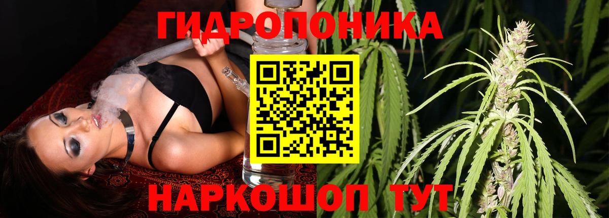 МАРИХУАНА семена Шали